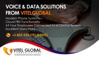 Vitel Global Communications LLC. image 4